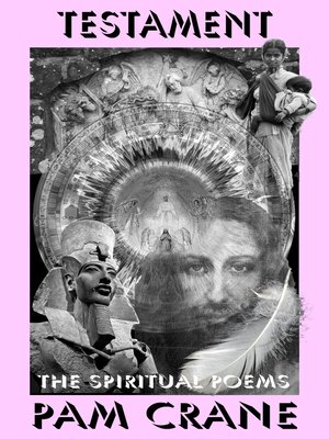 cover image of Testament